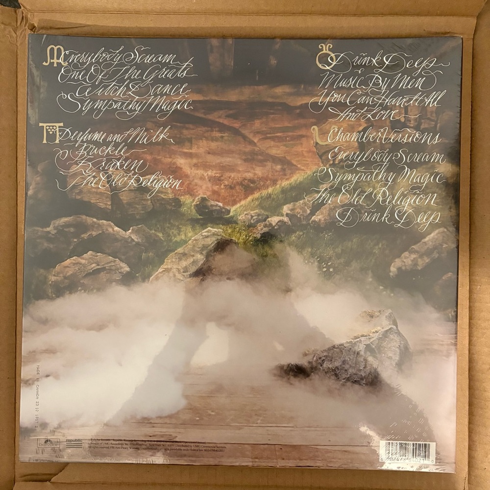 Vinyl Record - Everybody Scream: the Chamber Version - Picture 2 of 2